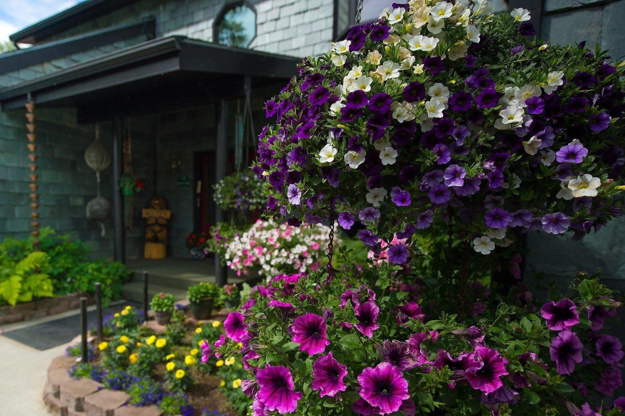 Alaska House Of Jade Bed And Breakfast Anchorage Extérieur photo